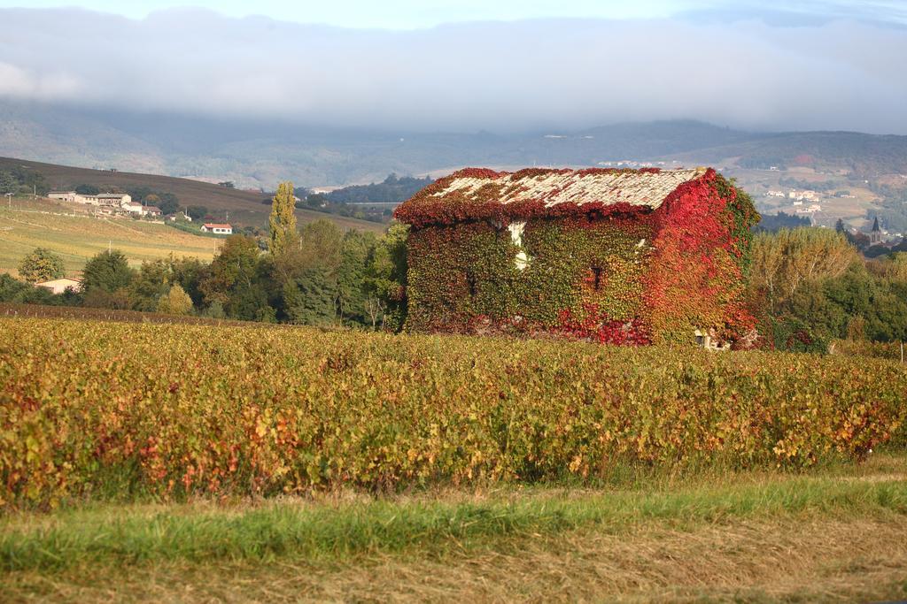 Les Gites De La Fontaine Jullié Exterior foto